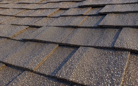 1. Close-up view of asphalt roof shingles with embedded metal granules for algae resistance