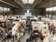Aerial view of exhibitor booths and visitors at WestEdge Design Fair inside Barker Hangar, Santa Monica