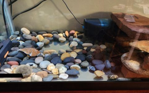 Washed aquarium gravel and river rocks ready for a freshwater aquascape