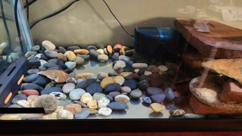 Washed aquarium gravel and river rocks ready for a freshwater aquascape