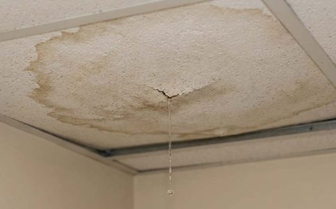 Professional inspecting sudden ceiling leak in Tampa home