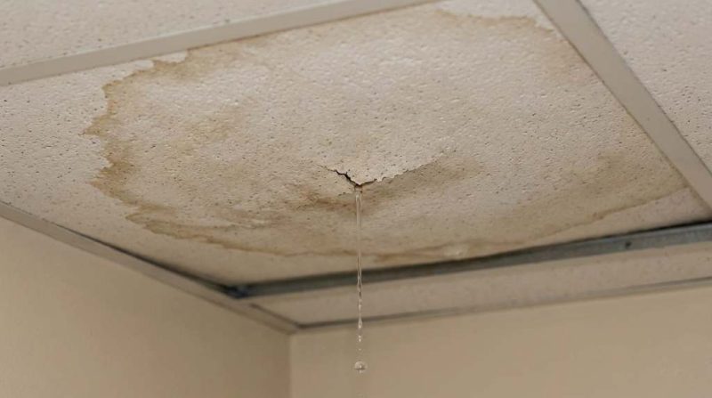 Professional inspecting sudden ceiling leak in Tampa home