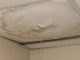 Professional inspecting sudden ceiling leak in Tampa home