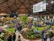 Visitors exploring colorful display gardens inside the Tacoma Dome at the Tacoma Home + Garden Show 2027
